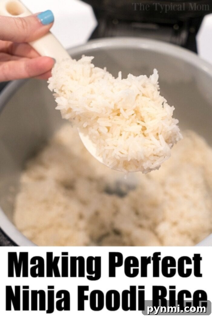 ninja foodi rice