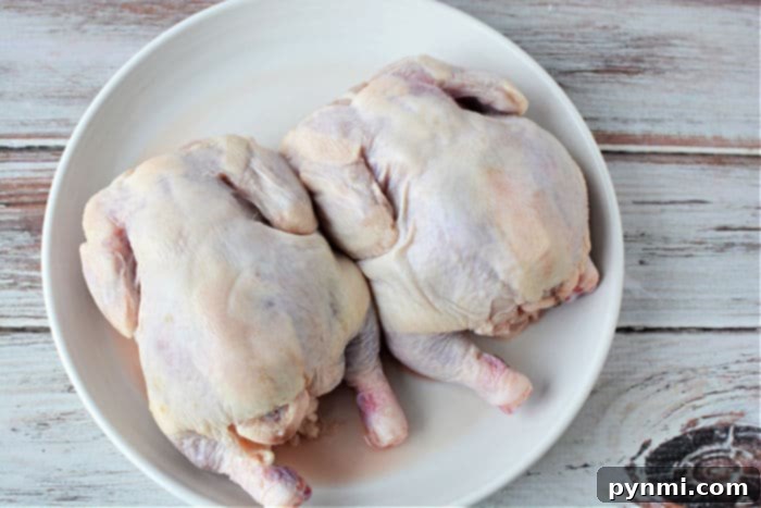 Crispy Air Fryer Cornish Hen 5 Two raw whole game hens rest side by side on a white plate atop a rustic wooden surface, evoking questions like how long to cook Cornish hen in an air fryer for the perfect meal.