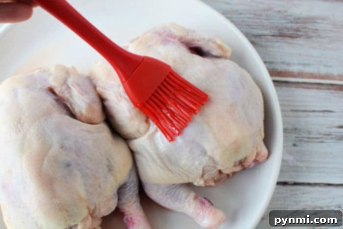 Crispy Air Fryer Cornish Hen 6 A red brush applies oil to a raw game hens on a white plate, setting the stage for a culinary delight. For those wondering how long to cook Cornish hen in an air fryer, this preparation hints at flavors yet to unfold.
