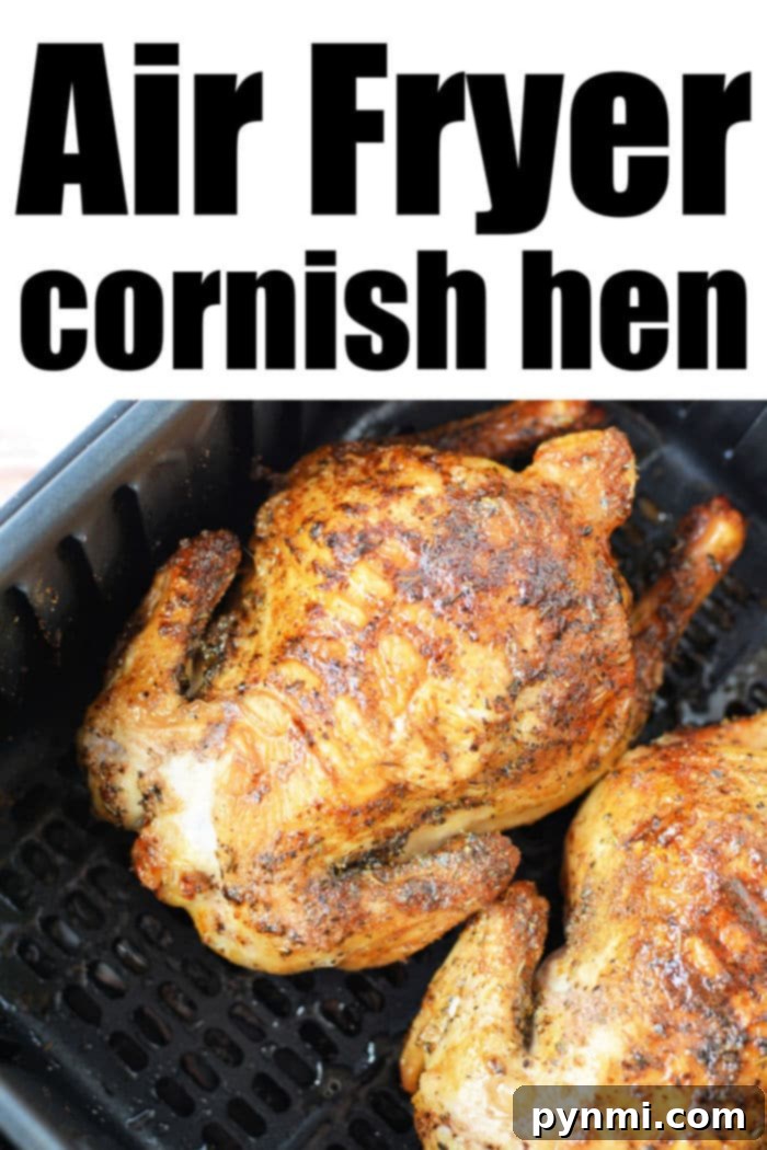 Crispy Air Fryer Cornish Hen 9 Cornish Hen in Air Fryer