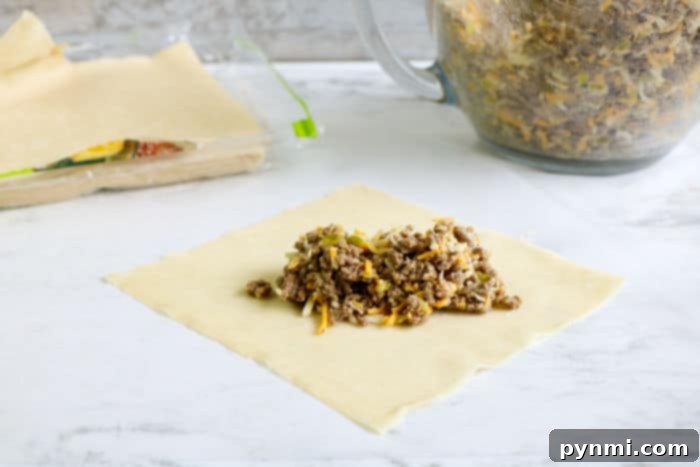 Crispy Beef Egg Rolls 6 egg rolls