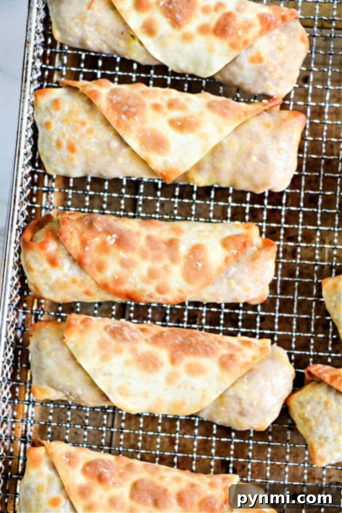 Crispy Beef Egg Rolls 9 Air Fryer Egg Roll recipe