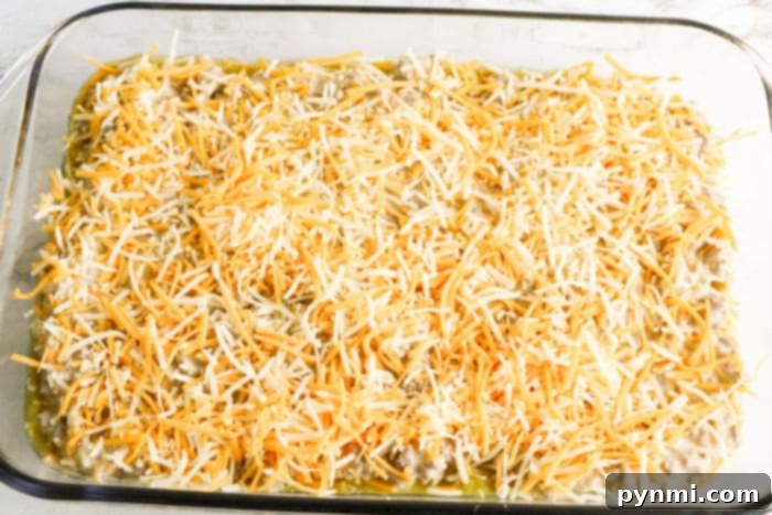 Poblano Fiesta Bake 5 Easy Chile Relleno Casserole for Dinner