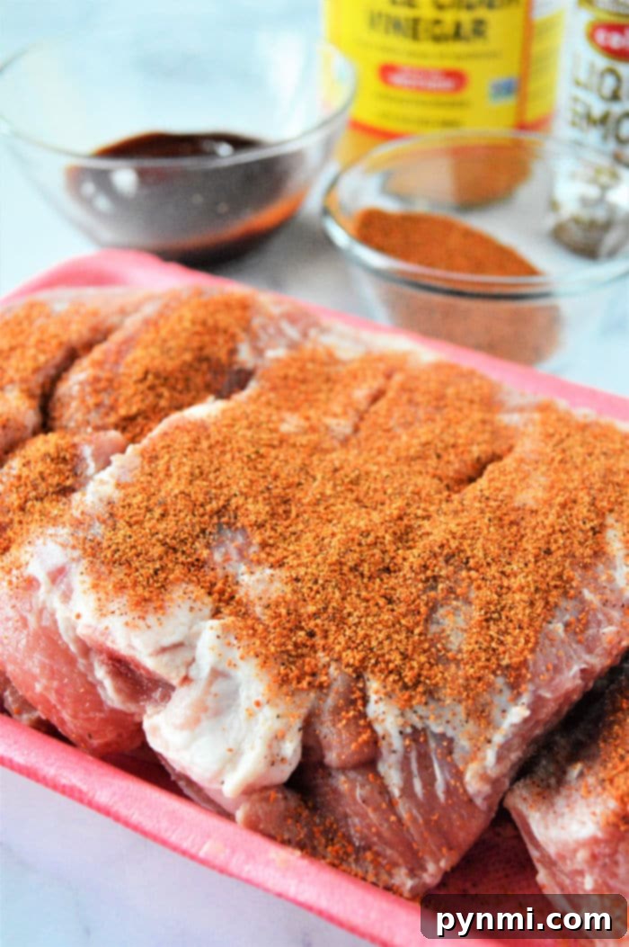 Easy Homestyle Instant Pot Country Ribs 8 dry rub for ribs - Close-up of seasoning