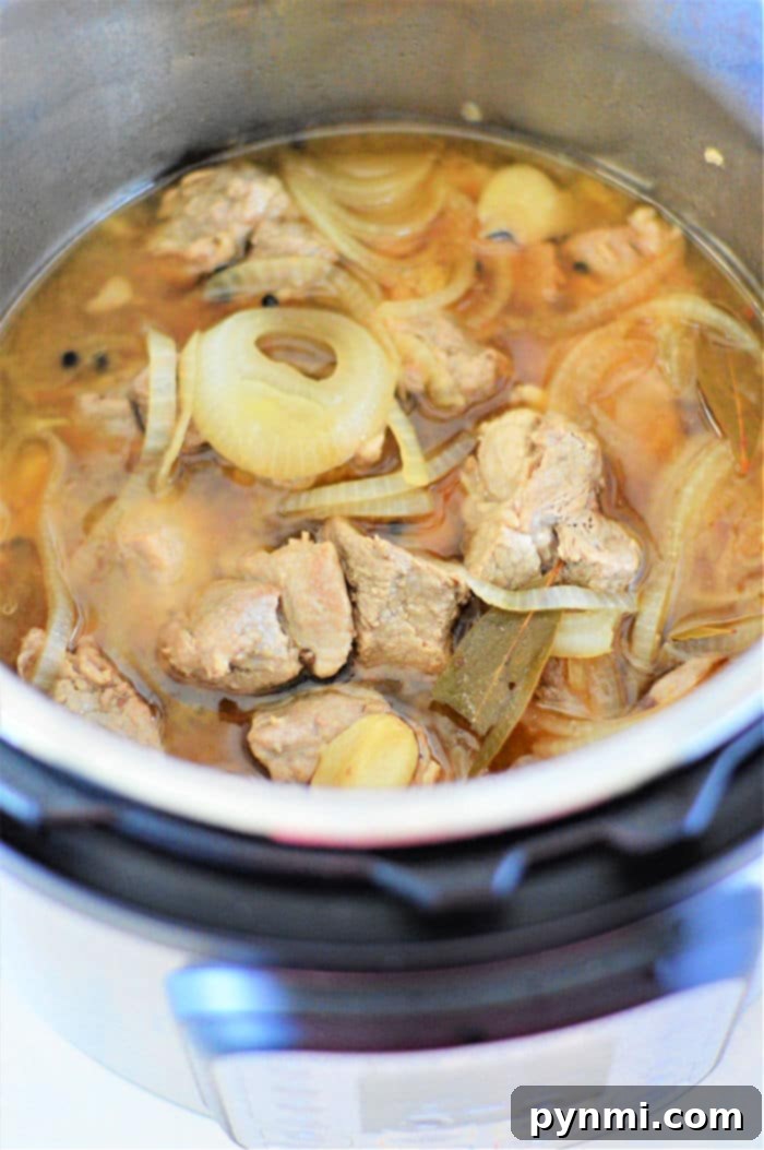 pressure cooker pork