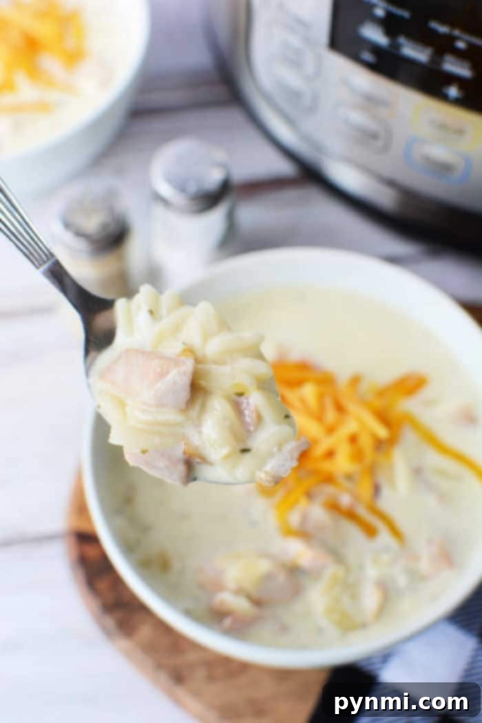 Ultimate Cheesy Bacon Ranch Chicken Soup 2 Creamy Chicken Crack Soup in a bowl, garnished with fresh herbs and shredded cheese.