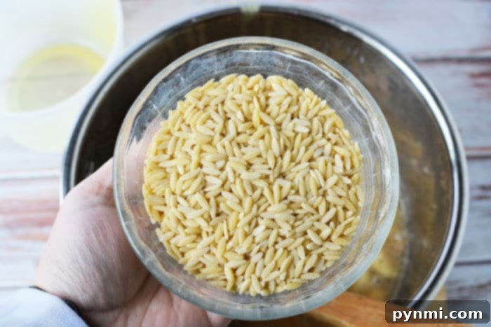 Ultimate Cheesy Bacon Ranch Chicken Soup 5 Orzo pasta, a small rice-shaped pasta, used in chicken crack soup.