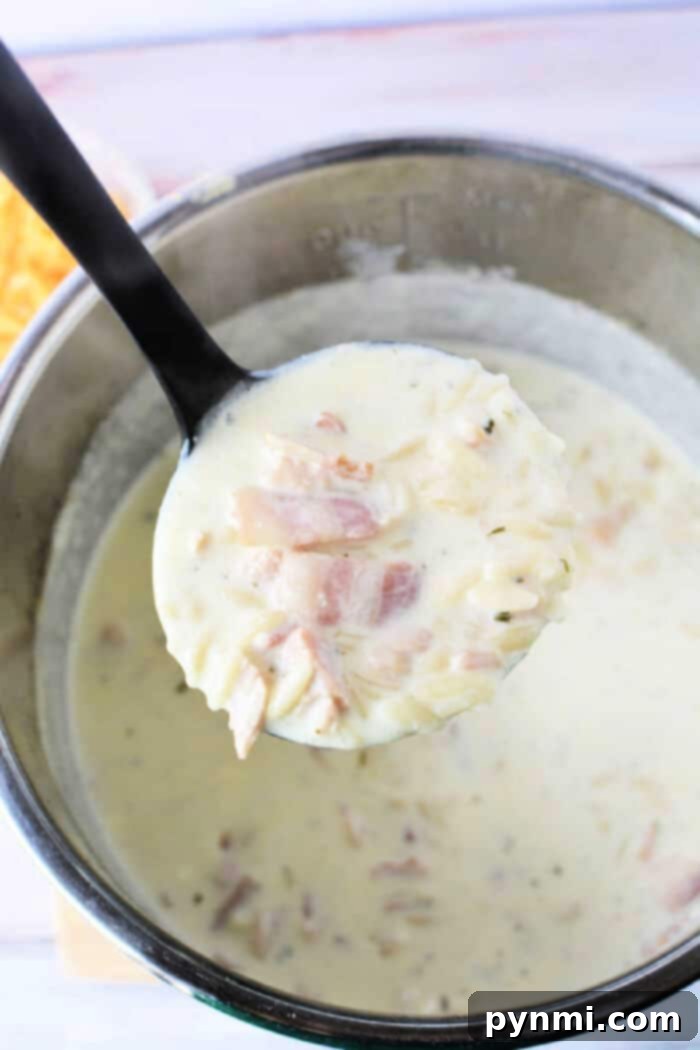 Ultimate Cheesy Bacon Ranch Chicken Soup 6 A ladle lifting creamy Instant Pot Crack Soup from a pot, showing tender chicken.