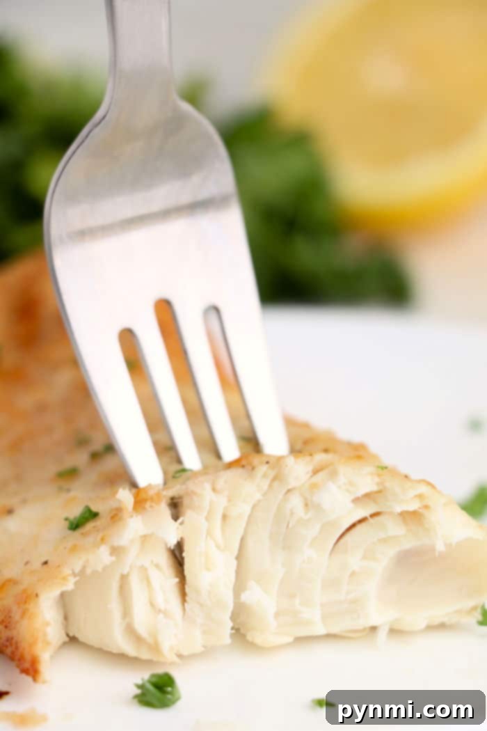 Perfect Air Fryer Mahi Mahi 8 Beautifully cooked white fish fillets, ready for a healthy meal.