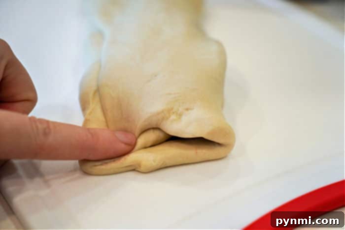 rhodes frozen dough recipe with filling