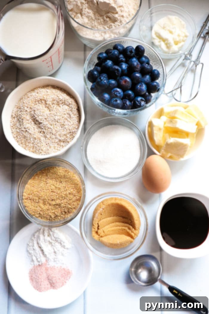 A single blueberry bran muffin, showcasing its golden crust and delicious texture.