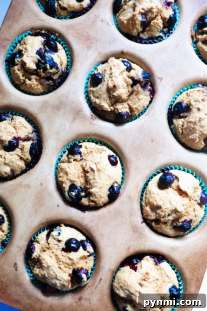 Close-up of homemade Blueberry Bran Muffins, showcasing their texture and blueberry distribution.