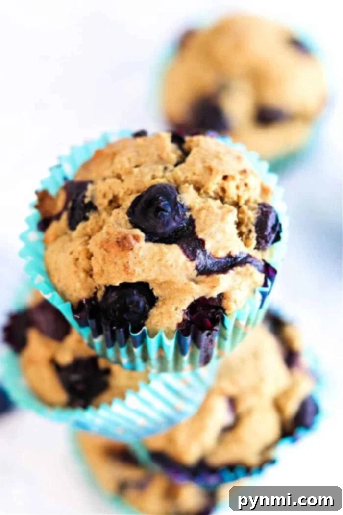 Healthy Oat Blueberry Bran Muffins, a perfect wholesome breakfast.