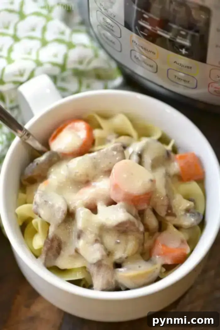 Slow Cooker Creamy Beef Stroganoff 4 A bowl of creamy crockpot beef stroganoff, topped on pasta and garnished with herbs.