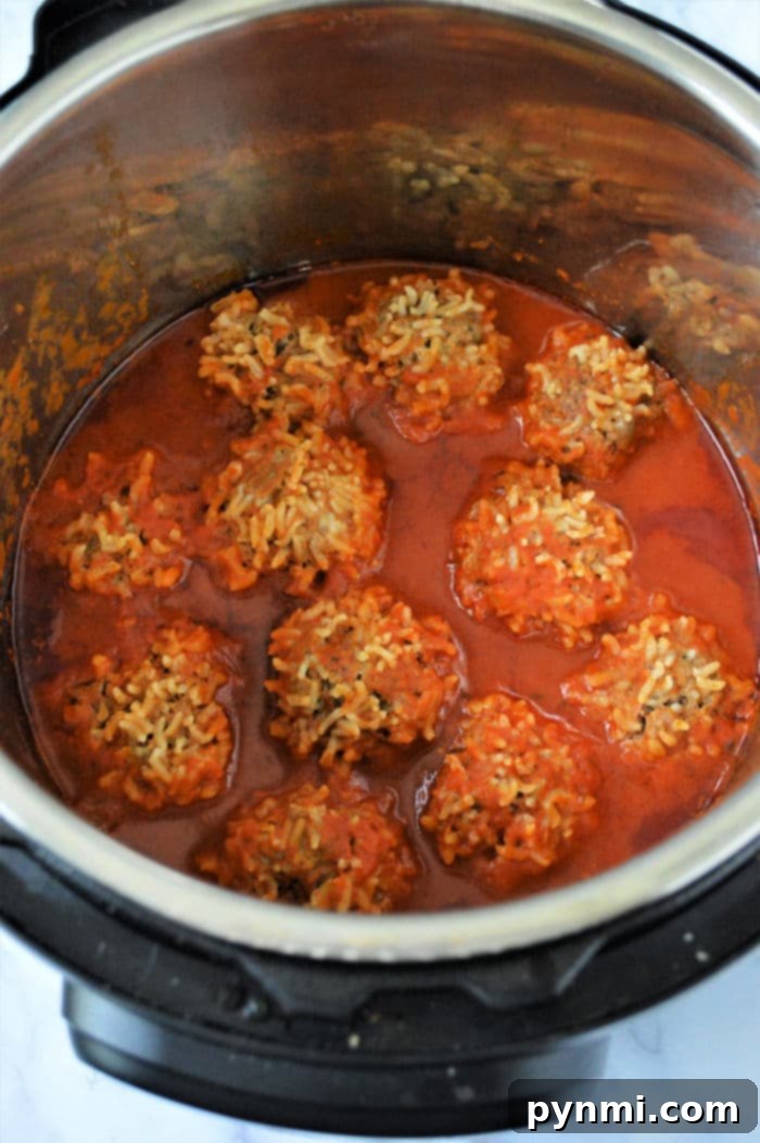 Effortless Instant Pot Porcupine Meatballs 5 Delicious meatballs with rice, a hearty Instant Pot meal