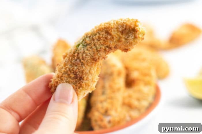 avocado fries