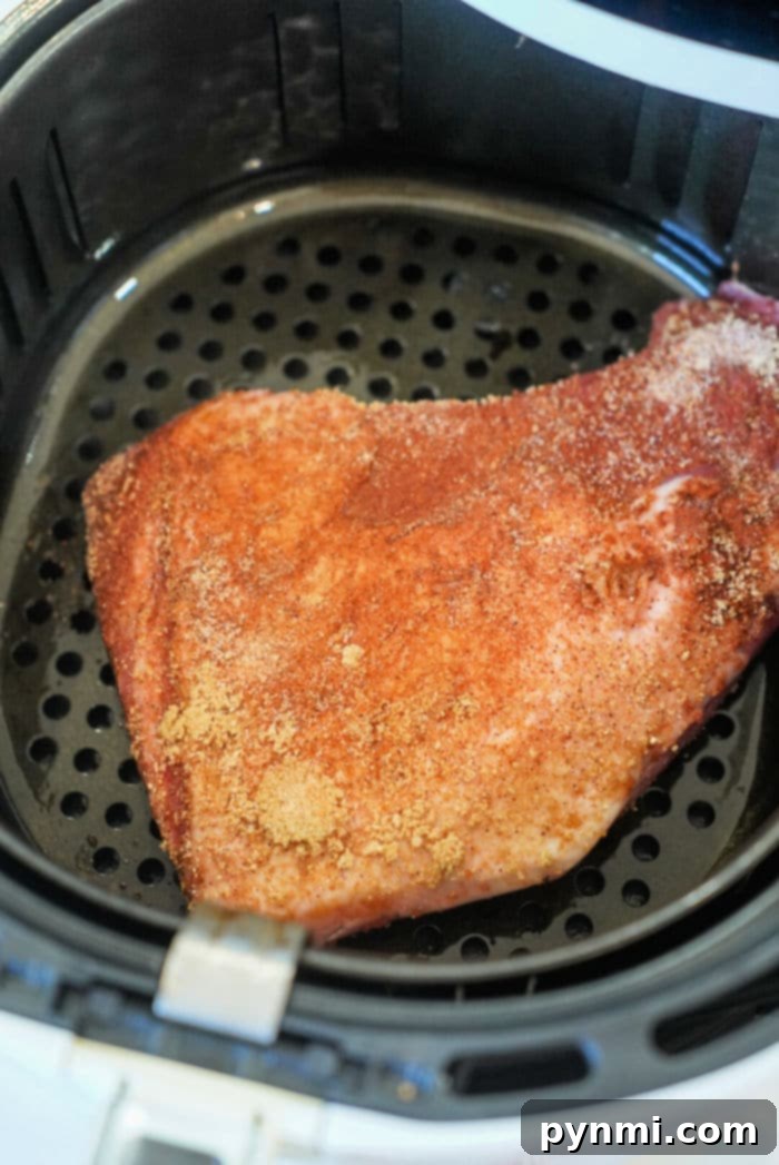 Ultimate Air Fryer Tri Tip 5 beef tri tip air fryer