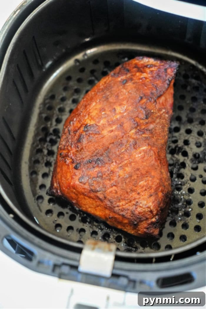 Ultimate Air Fryer Tri Tip 6 tri tip air fryer