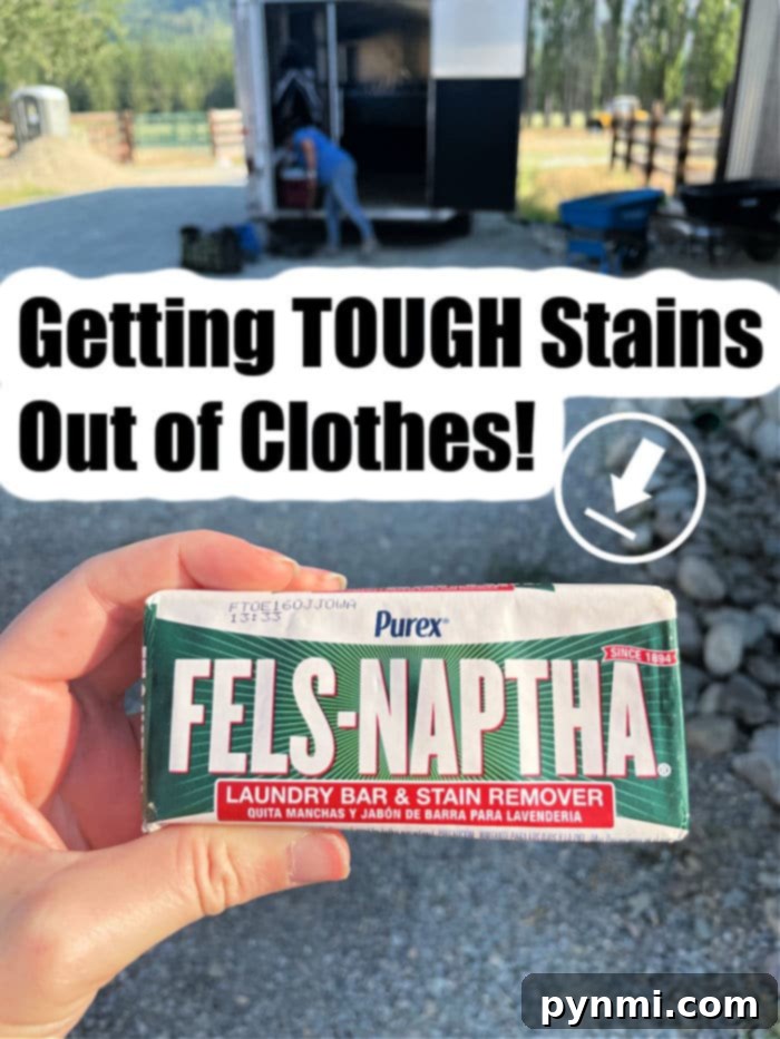 Fels Naptha bar for stain removal