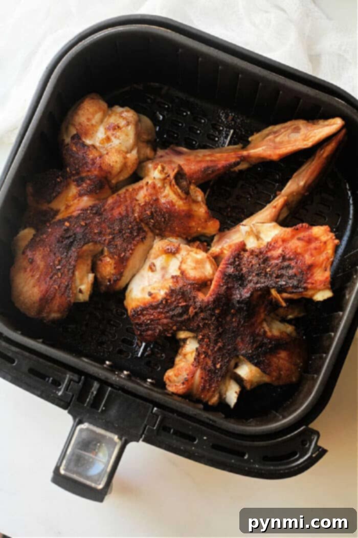 Crispy Air Fryer Turkey Wings 2 Crispy Air Fryer Turkey Wings with Dry Rub