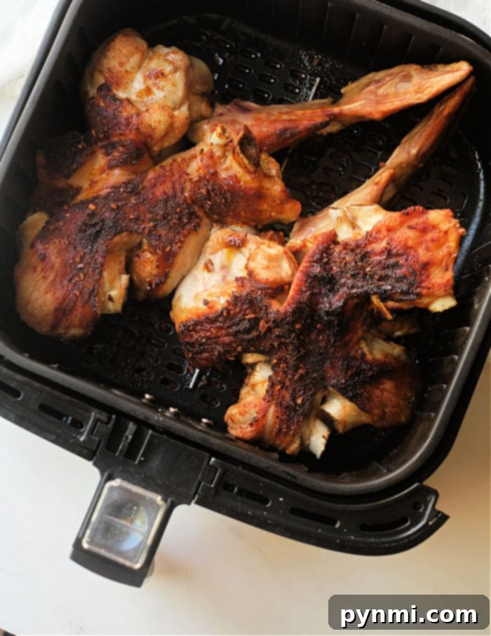 Crispy Air Fryer Turkey Wings 7 A close-up of a single crispy air-fried turkey wing