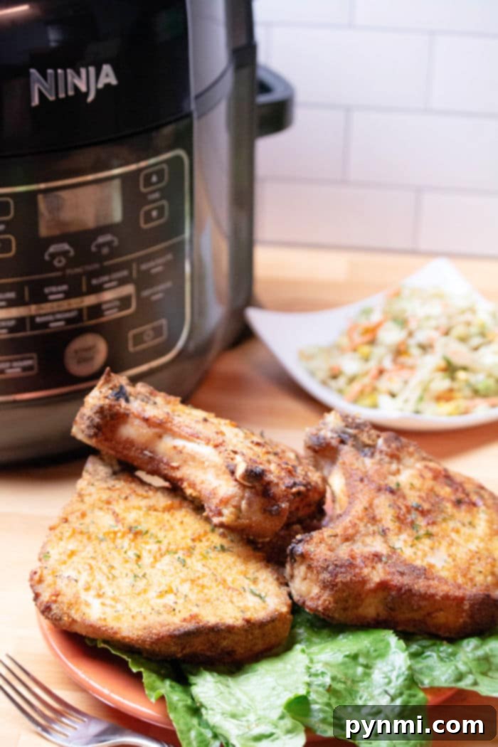 Two perfectly cooked breaded pork chops from the air fryer on a plate.