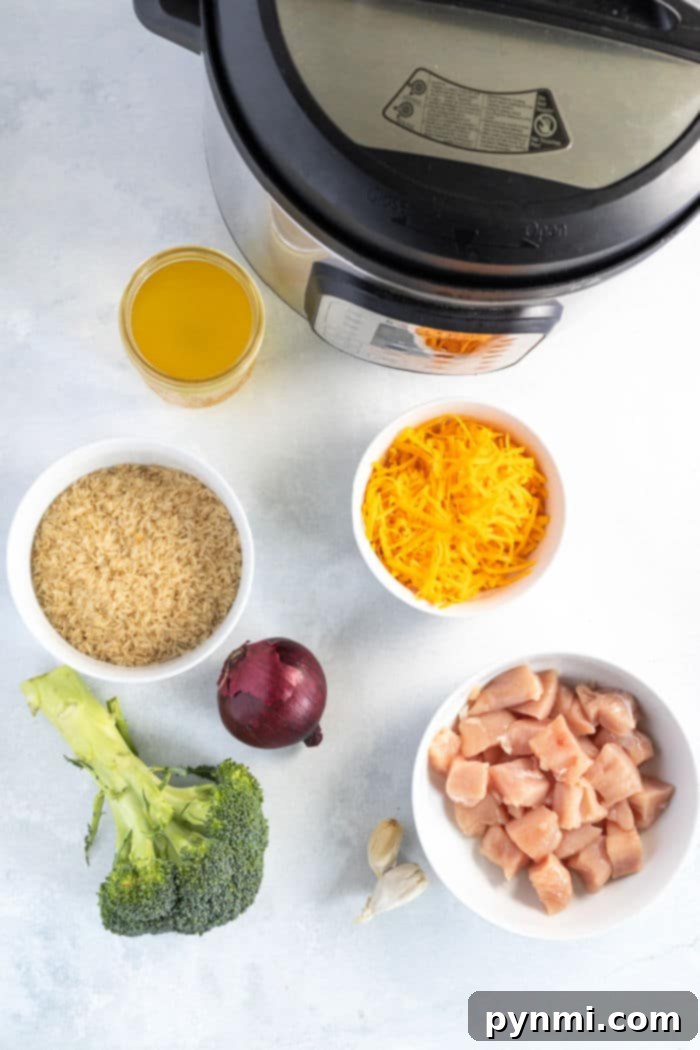 Creamy Cheesy Instant Pot Chicken and Rice 4 A close-up of pressure cooker cheesy chicken and rice, showcasing its rich, golden-brown hue and the creamy texture of the melted cheese over tender chicken and rice.