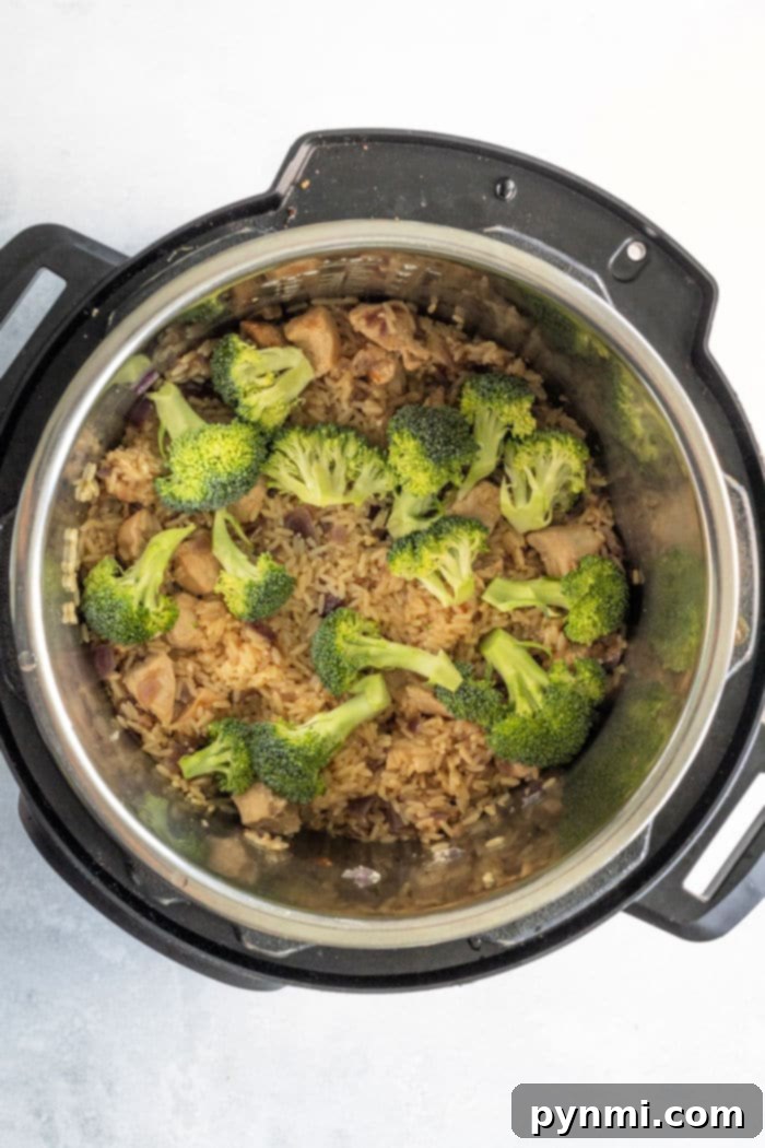 Creamy Cheesy Instant Pot Chicken and Rice 5 A vibrant bowl of Instant Pot chicken and broccoli rice, with visible green florets mixed into the creamy, cheesy rice.