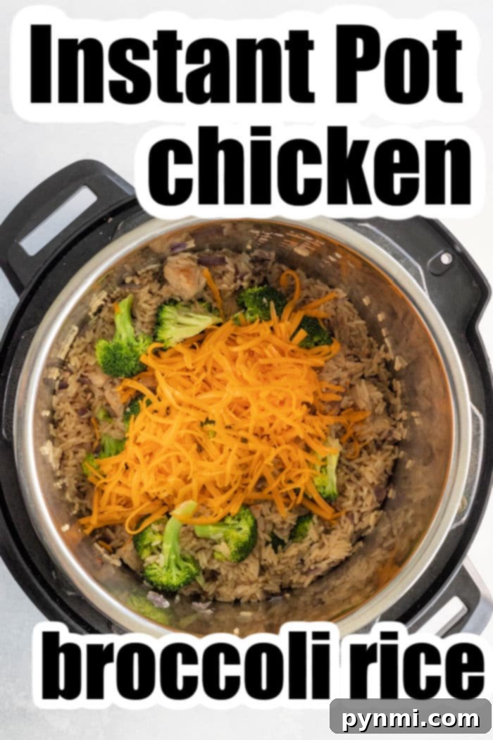 Creamy Cheesy Instant Pot Chicken and Rice 6 A vibrant bowl of Instant Pot cheesy chicken and rice with broccoli, ready to be enjoyed.