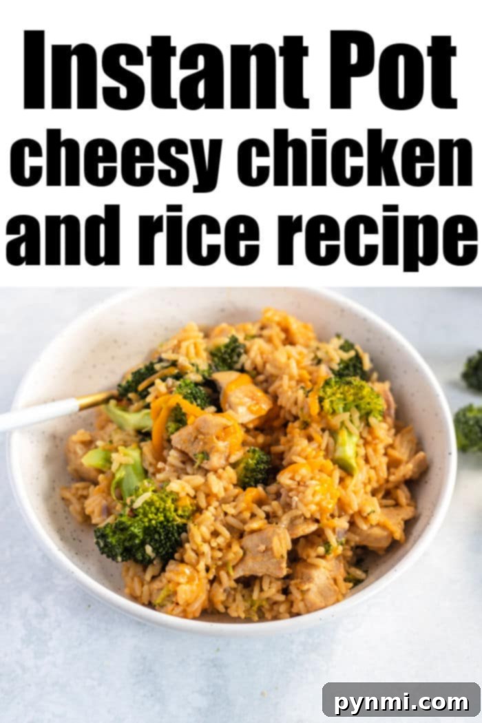 Creamy Cheesy Instant Pot Chicken and Rice 7 Close up of a spoonful of creamy Instant Pot Cheesy Chicken Rice, highlighting its rich texture and melty cheese.