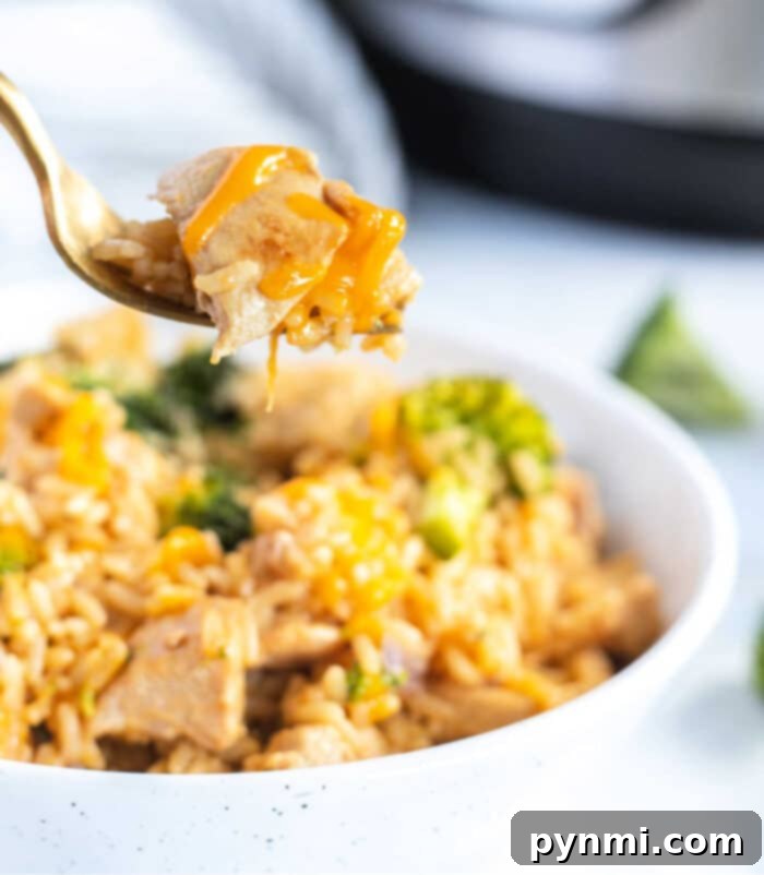 Creamy Cheesy Instant Pot Chicken and Rice 9 A large serving of cheesy chicken and rice, featuring golden-brown chicken, fluffy rice, and melted cheese, perfect for a family meal.
