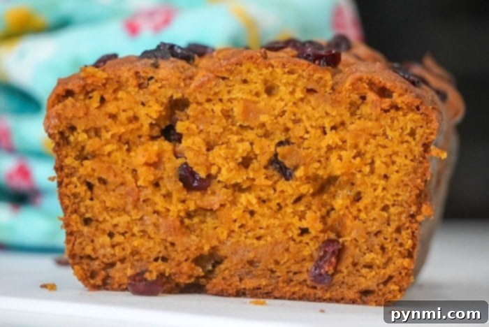 ninja foodi pumpkin bread