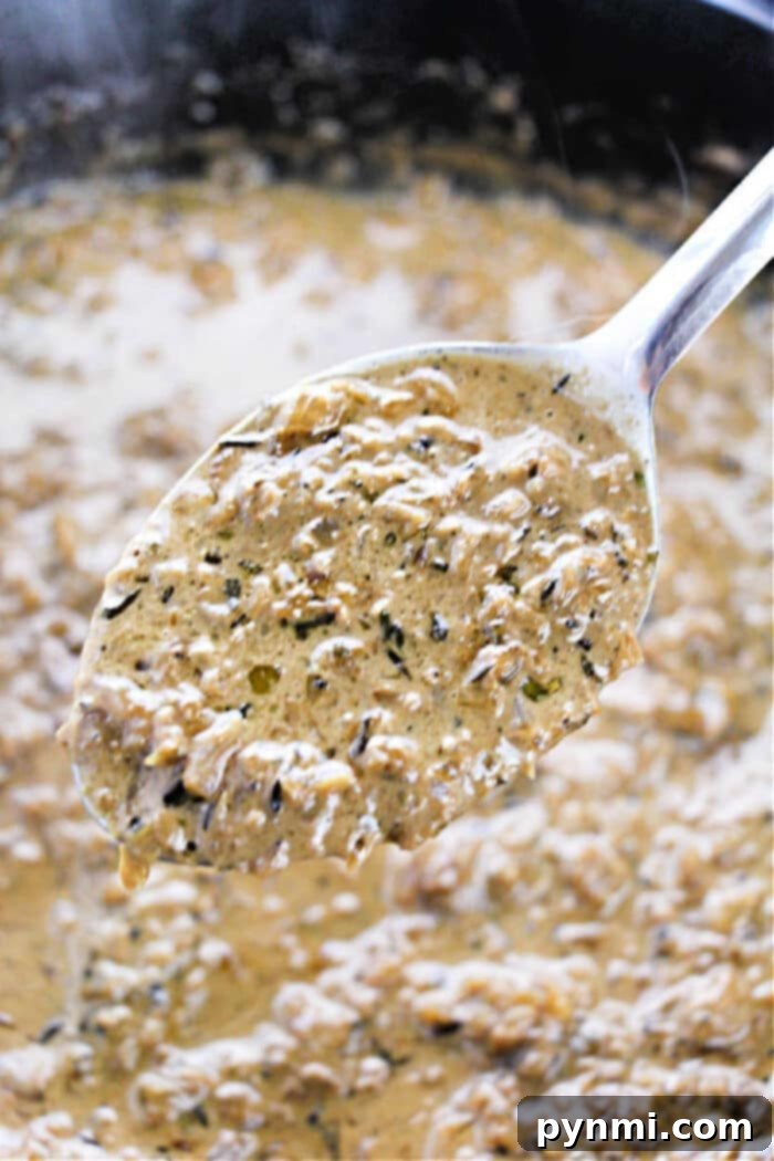 A spoon holding creamy, herbed mushroom sauce—perfect for adding richness to any dish—hovers above a pot of the same sauce. Try pairing it with your favorite onion gravy recipe for extra depth of flavor.