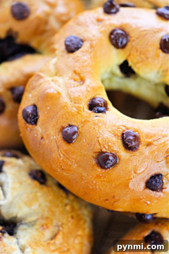 Effortless Two-Ingredient Bagels 2 Homemade bagels with a golden-brown crust and soft interior, ready to be enjoyed for breakfast.