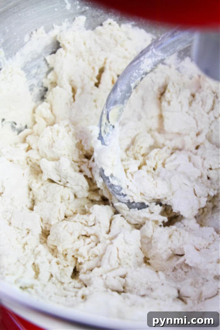 Effortless Two-Ingredient Bagels 3 Two ingredient bagel dough on a floured surface, showing its smooth, pliable texture before shaping.