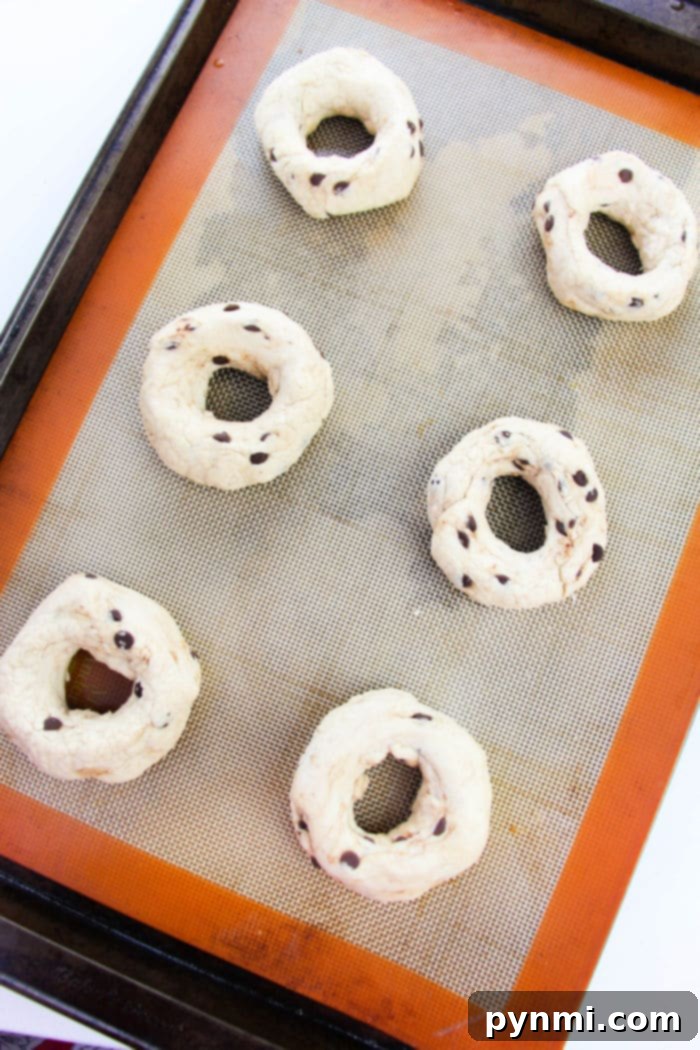 Effortless Two-Ingredient Bagels 6 Delicious homemade chocolate chip bagels, showing their inviting texture and rich, melted chocolate.