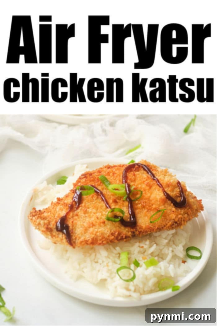 Plated Air Fryer Chicken Katsu recipe, sliced and drizzled with sauce