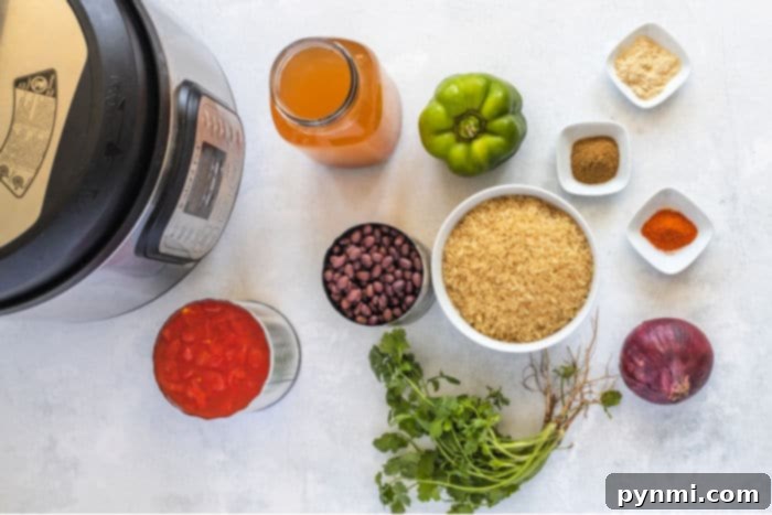 Delicious Instant Pot Black Beans and Rice 3 Homemade Black Beans and Rice in a pressure cooker with fresh toppings