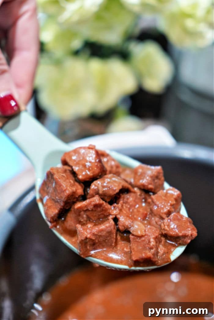 Frozen Stew Meat Instant Pot