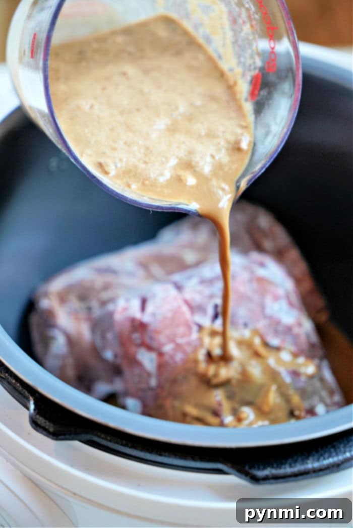 stew meat instant pot recipe