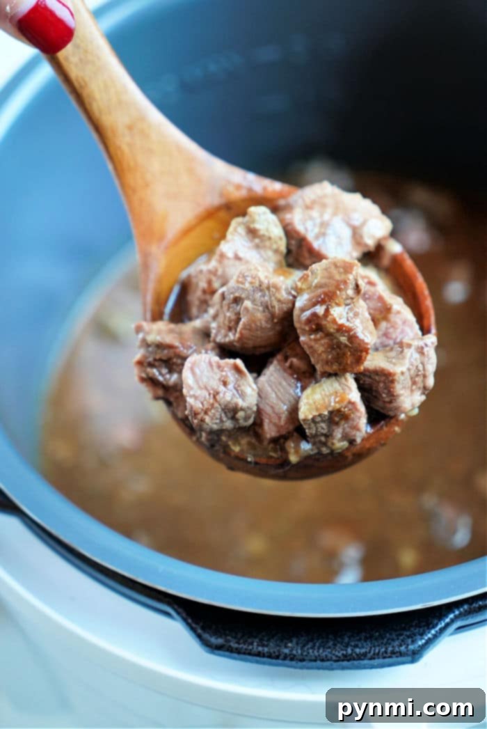 stew meat
