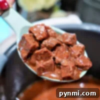 Close-up of a spoon holding chunks of stewed beef from an Instant Pot in rich brown sauce above a steaming pot.