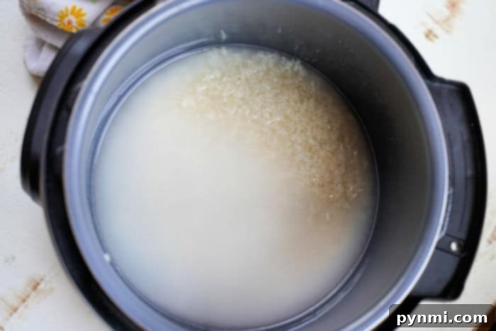 Perfect Fluffy Jasmine Rice in the Instant Pot 5 rice instant pot
