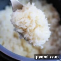 Close-up of a spoon holding fluffy jasmine rice cooked to perfection in an Instant Pot.