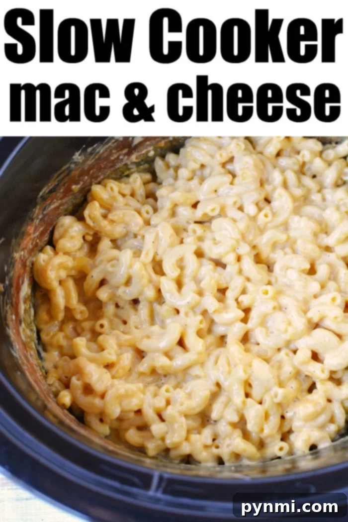 Ultimate Slow Cooker Mac and Cheese 5 A vibrant bowl of crockpot mac and cheese, perfectly golden and ready to enjoy.