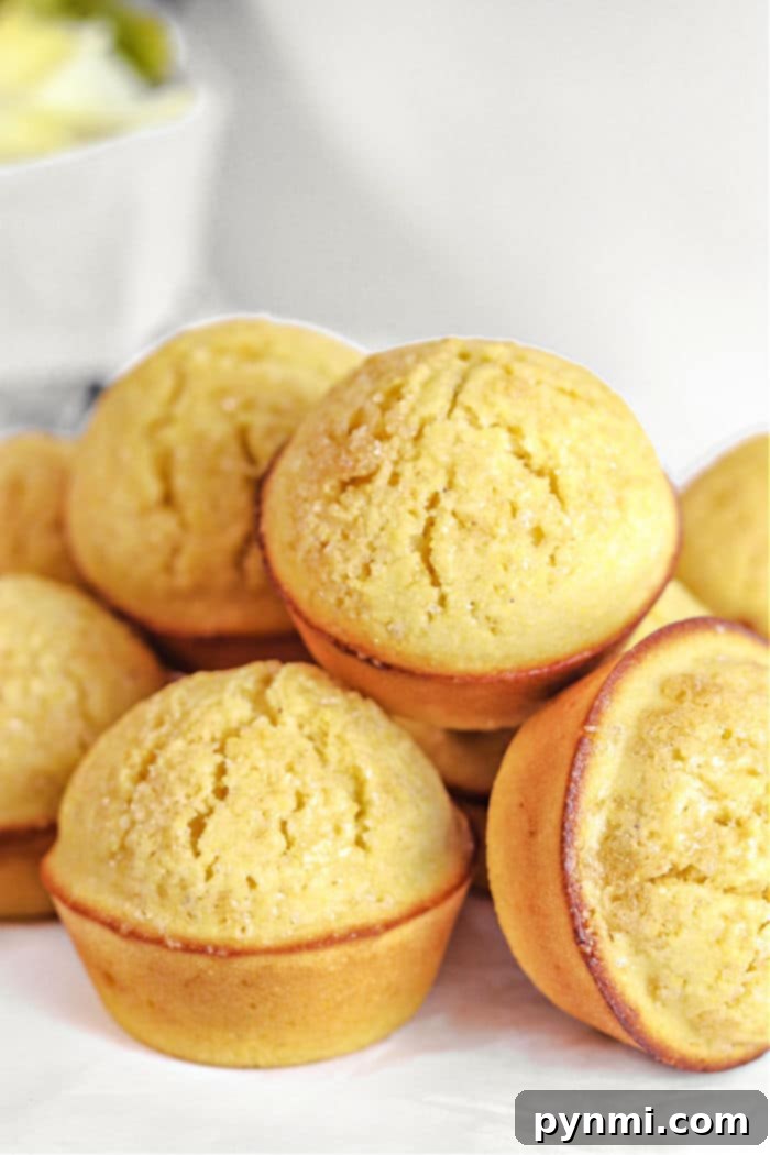 Golden Corn Muffins 6 homemade Cornmeal Muffins