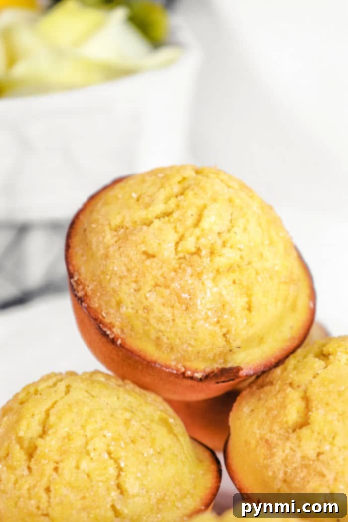 Golden Corn Muffins 7 blueberry Cornmeal Muffins