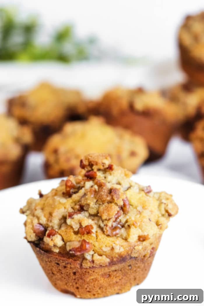 Sweet Potato Muffin