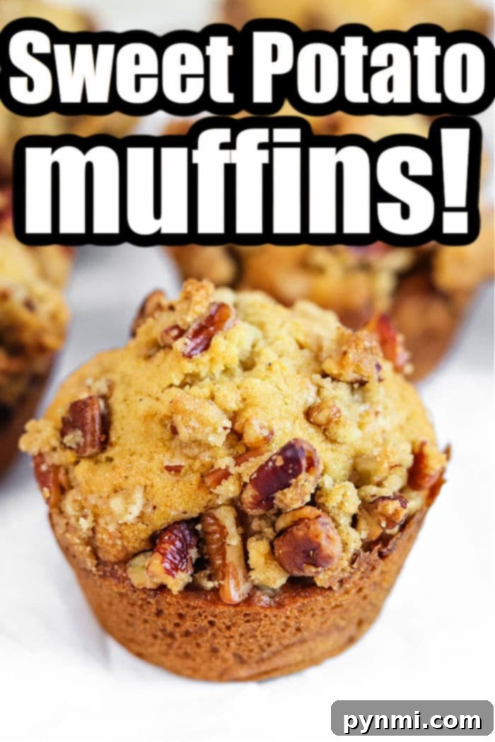 Sweet Potato Muffins