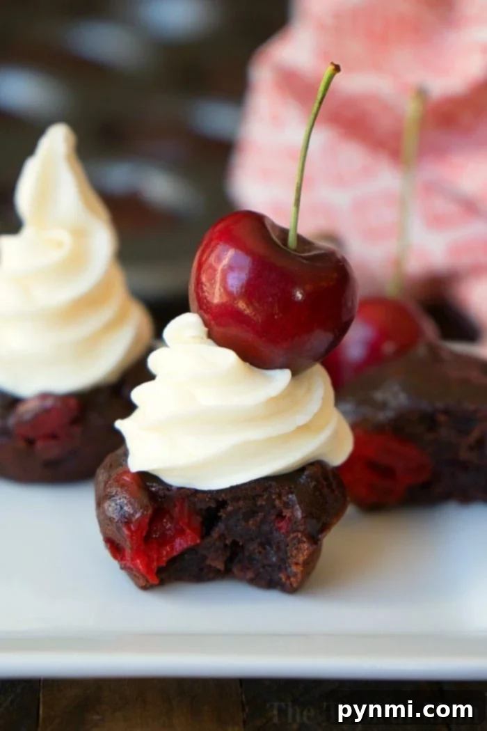 Muffin Tin Marvels 4 Muffin tin brownies, a perfect dessert